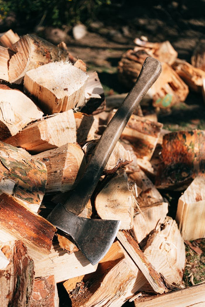 A rustic axe resting on a heap of split firewood in a sunlit outdoor setting.